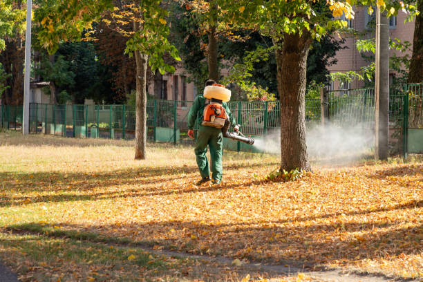Best Local Pest Control Services  in Sausalito, CA